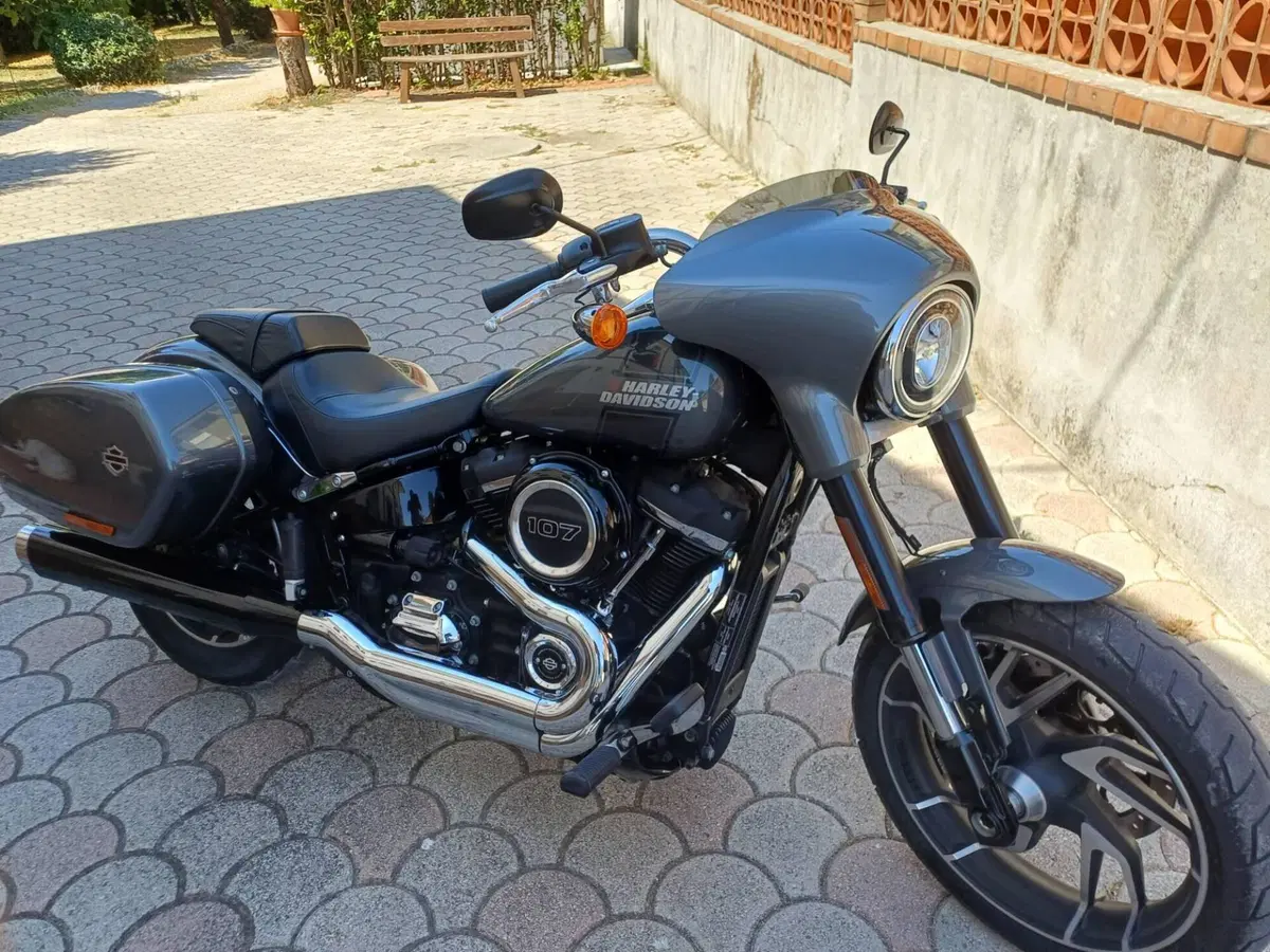 Harley-Davidson 107 Sport Glide (2018 - 20) (3)