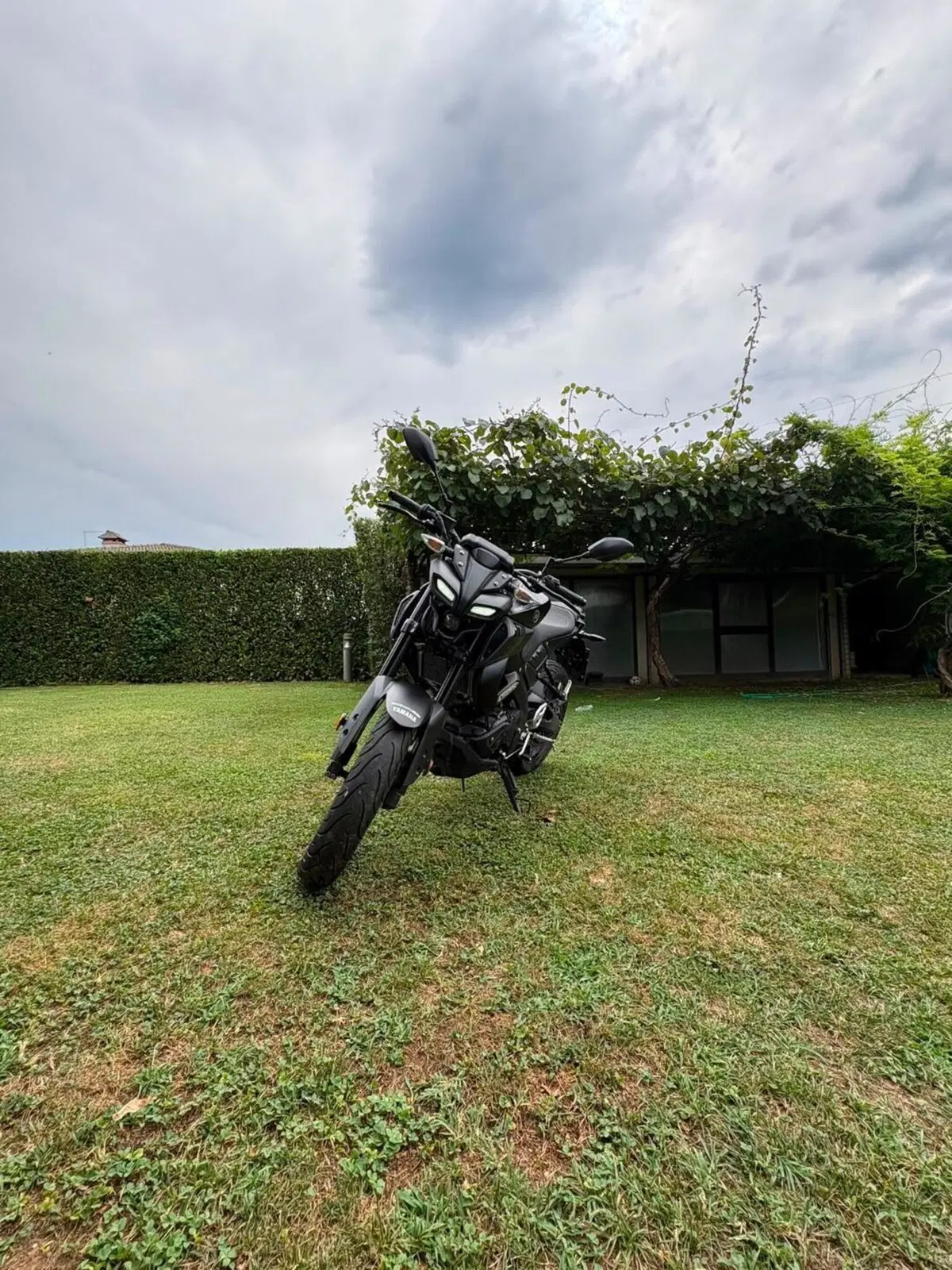 Yamaha MT-125 (2021 - 24) (7)