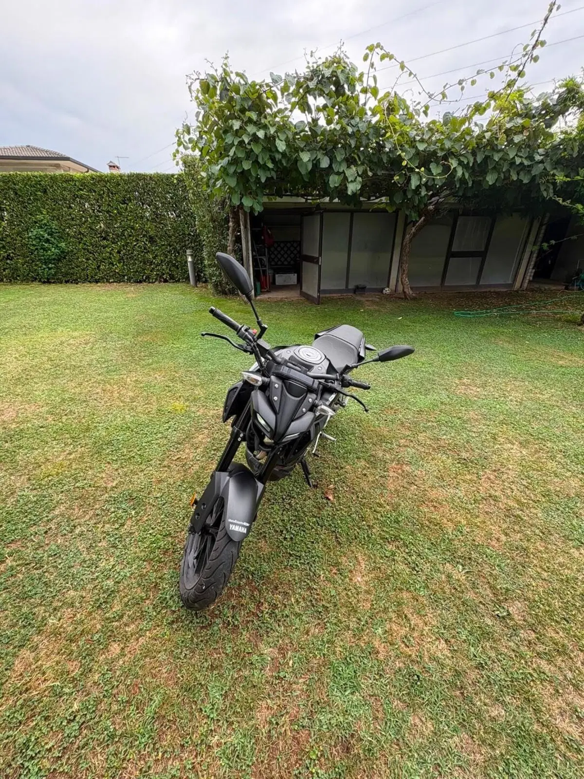 Yamaha MT-125 (2021 - 24) (8)
