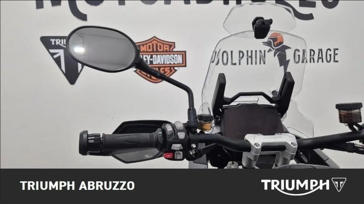 Triumph Tiger 1200 GT Pro (2024 - 26) (5)