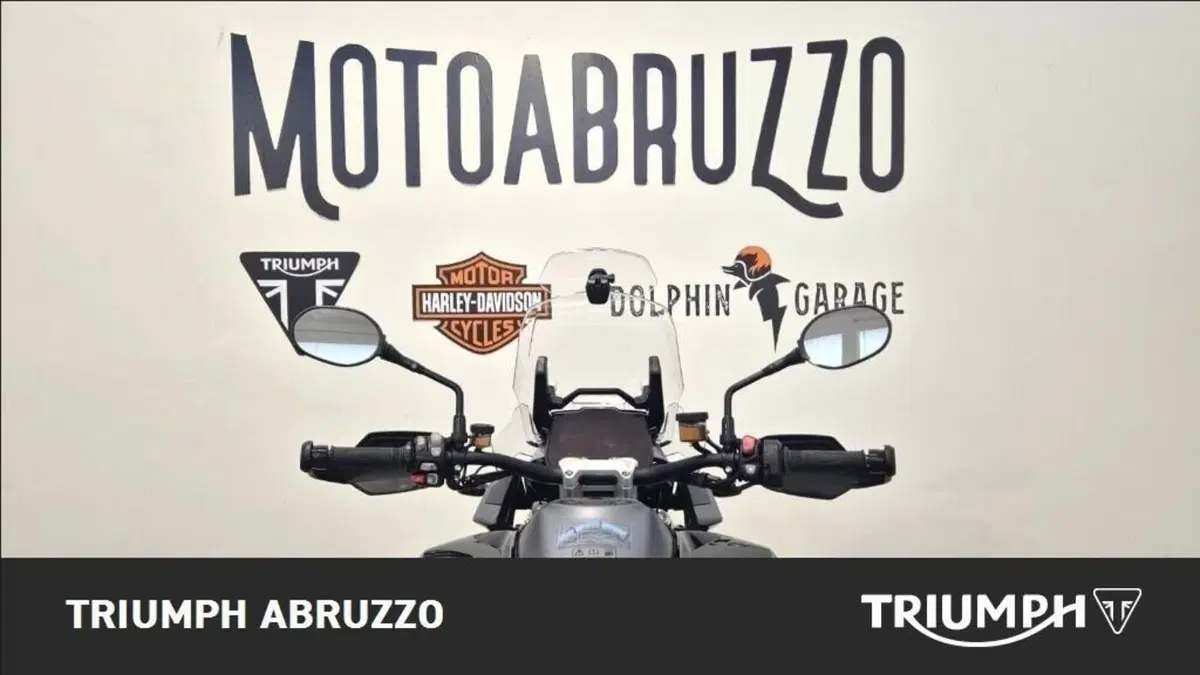 Triumph Tiger 1200 GT Pro (2024 - 26) (4)