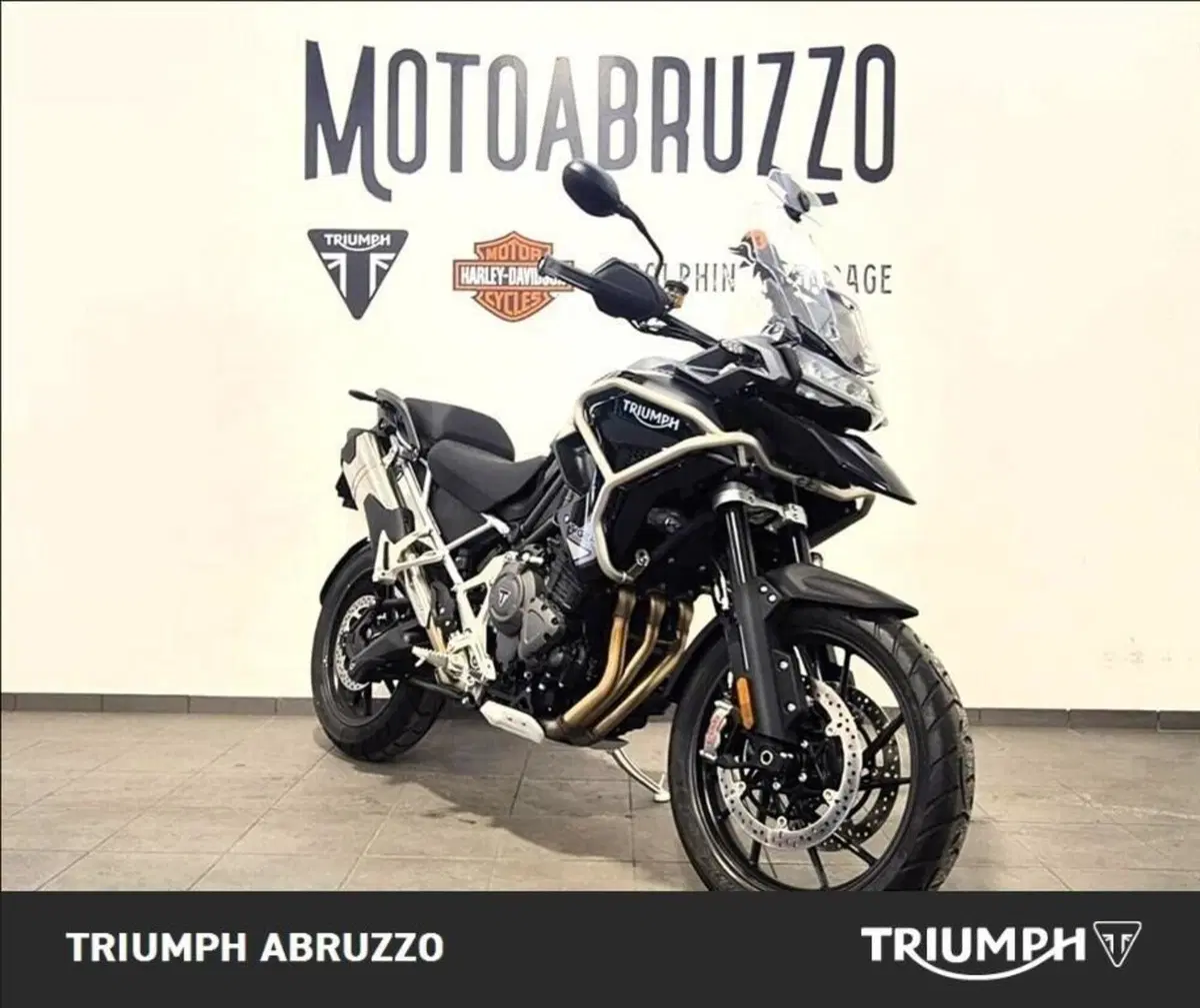 Triumph Tiger 1200 GT Pro (2024 - 26) (11)
