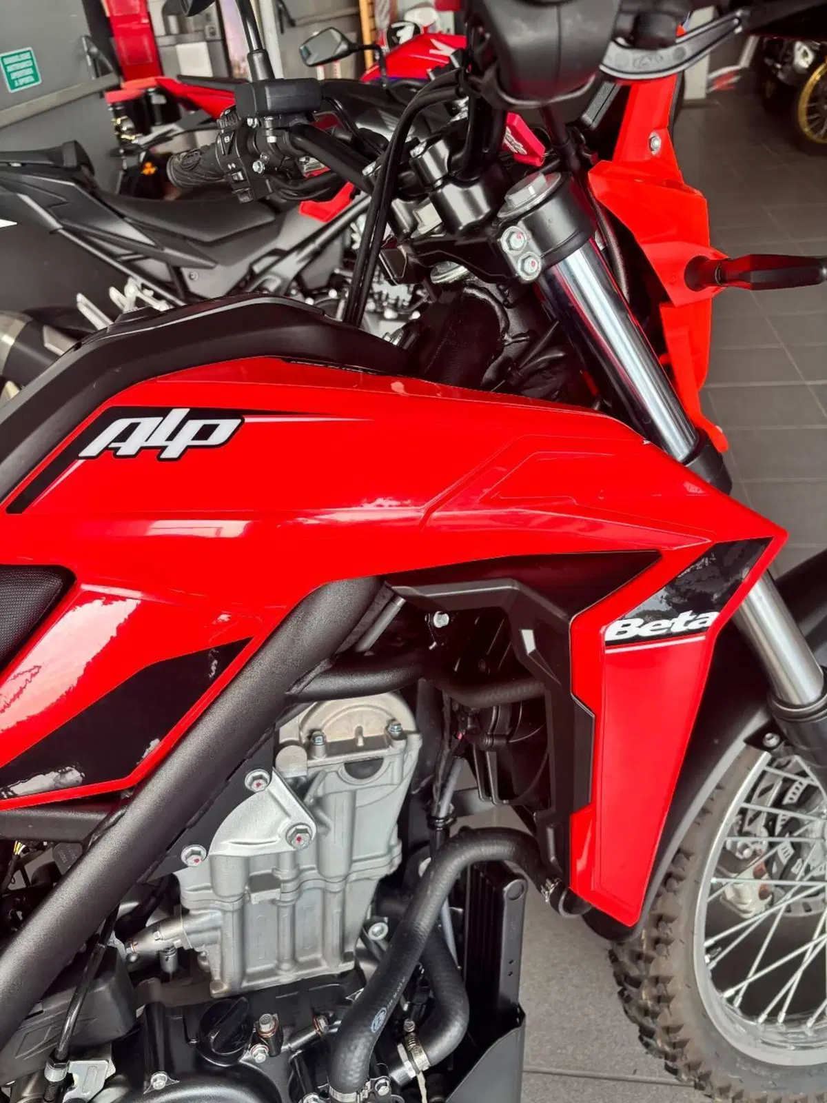Betamotor Alp 4.0 (2024 - 26) (2)