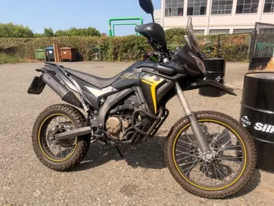 Voge Valico 300 Rally (2022 - 26) usata