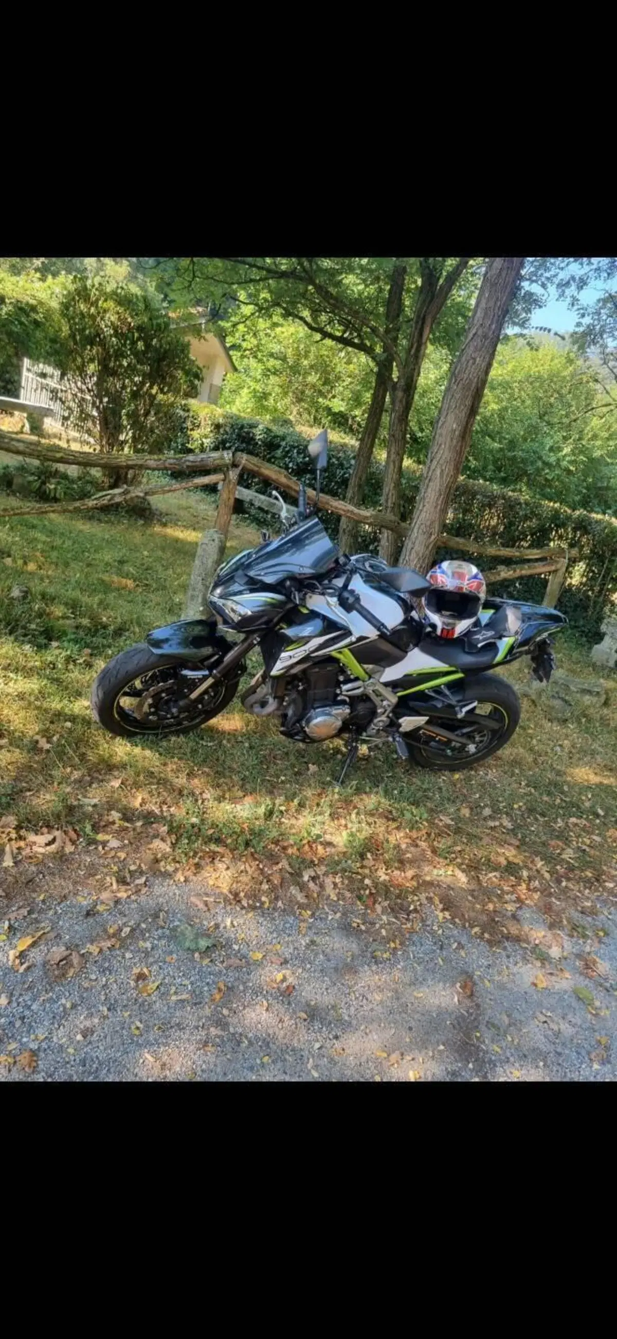 Kawasaki Z 900 Performance (2019)