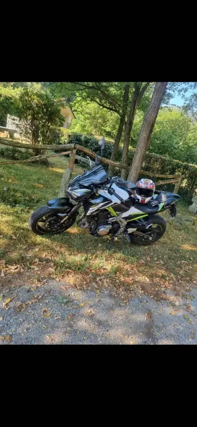 Kawasaki Z 900 Performance (2019) usata