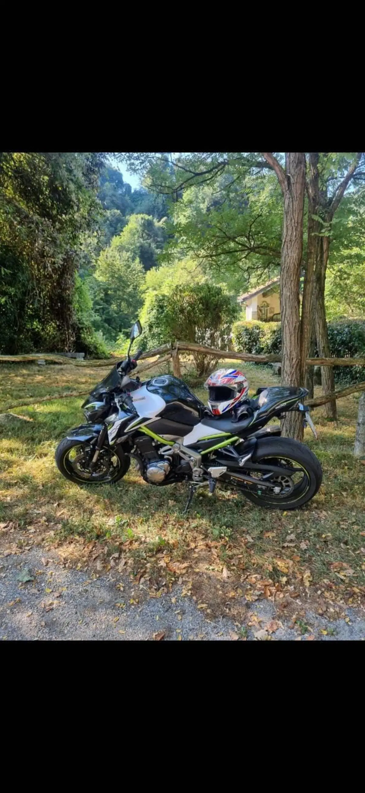 Kawasaki Z 900 Performance (2019) (2)