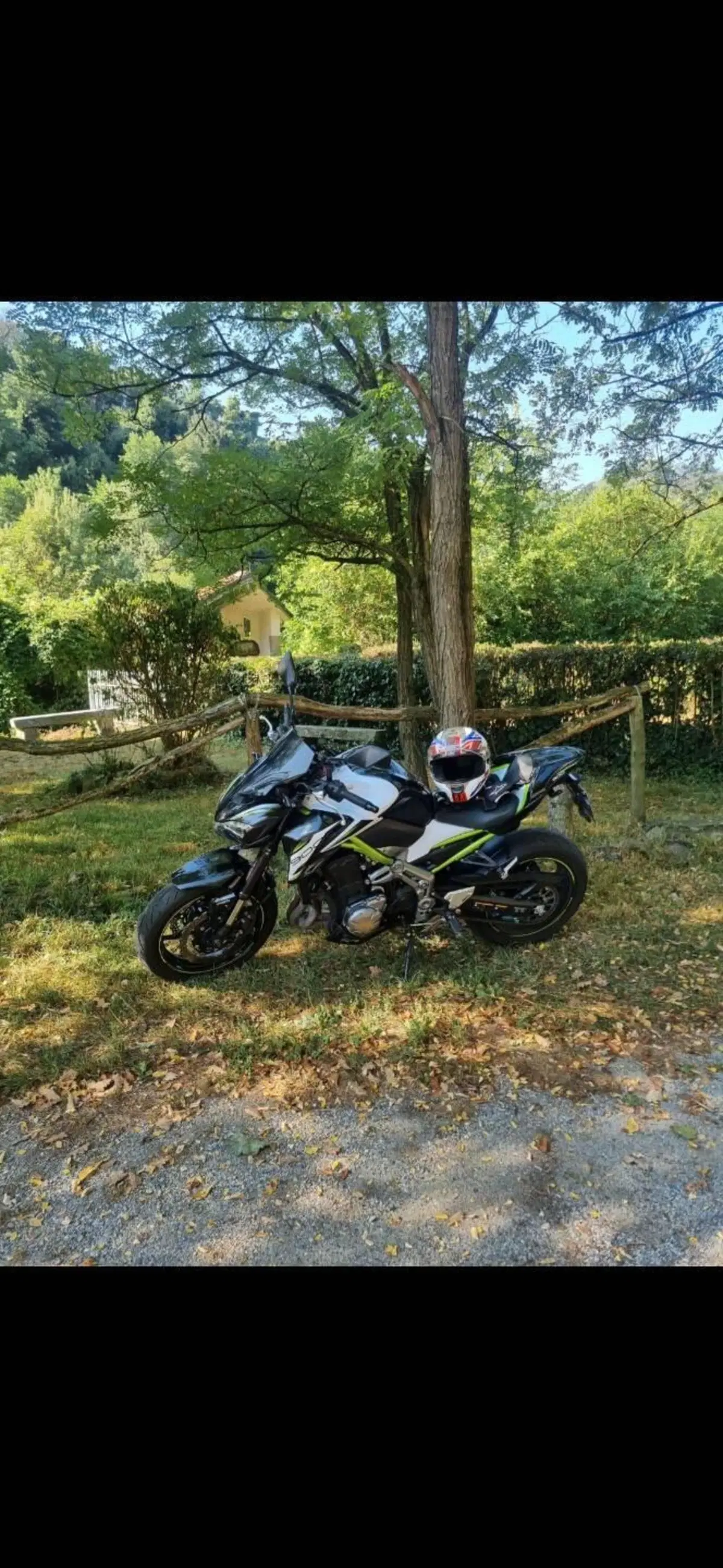 Kawasaki Z 900 Performance (2019) (4)