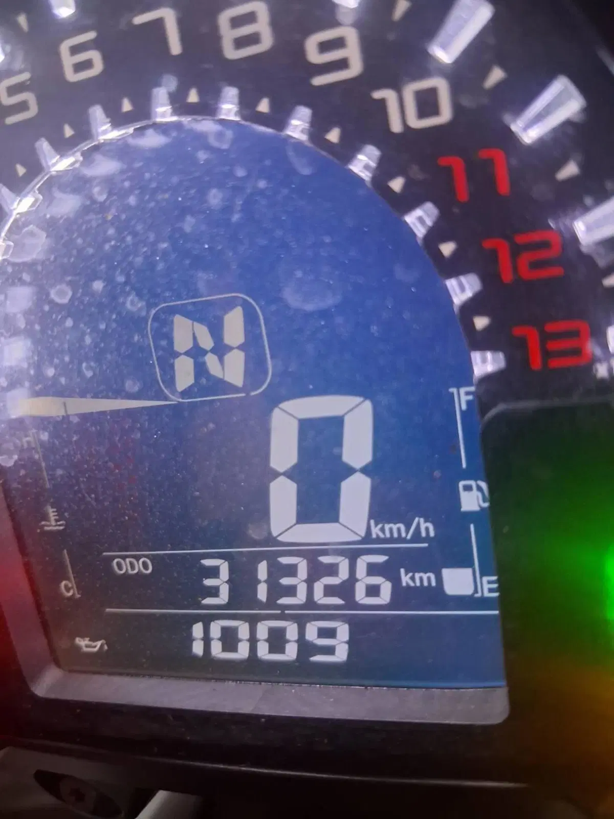 Kawasaki Z 900 Performance (2019) (5)