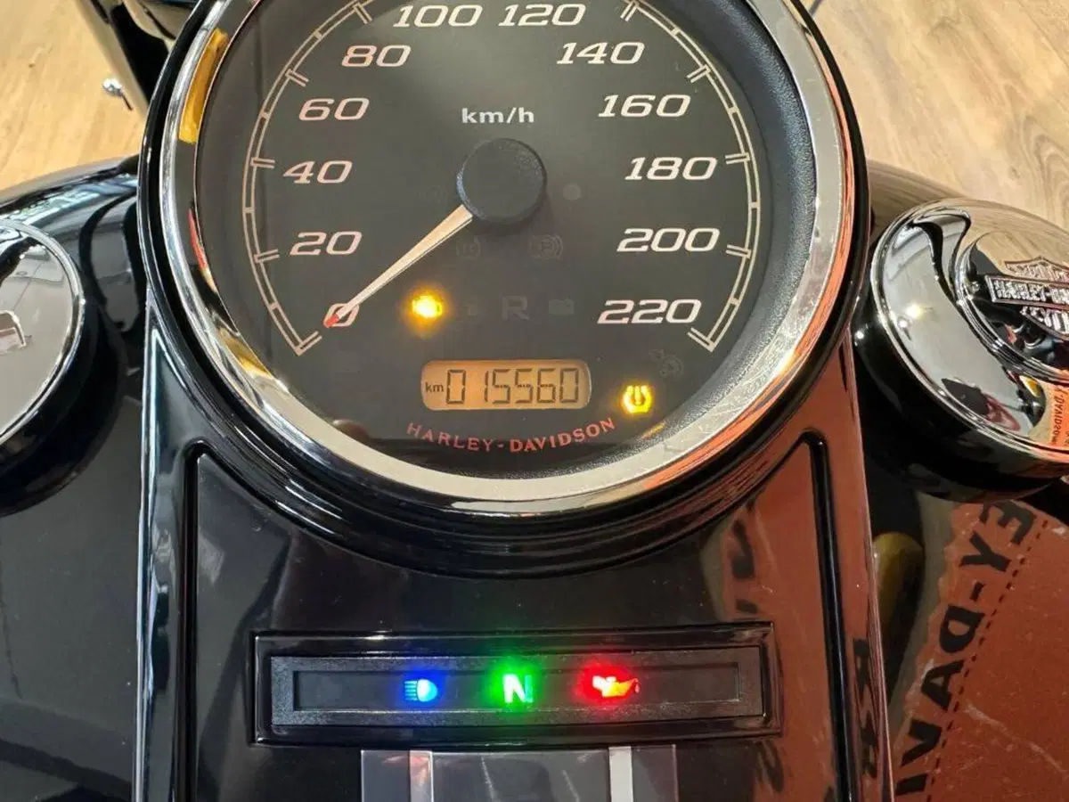 Harley-Davidson 114 Road King Special (2019 - 20) - FLHR (10)