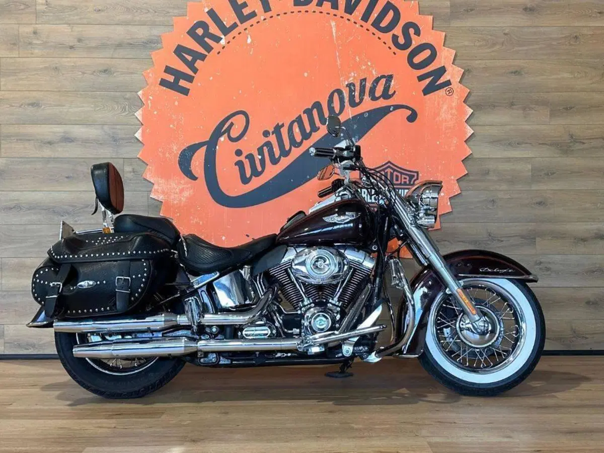 Harley-Davidson 1585 Softail Deluxe (2011) - FLSTN (2)