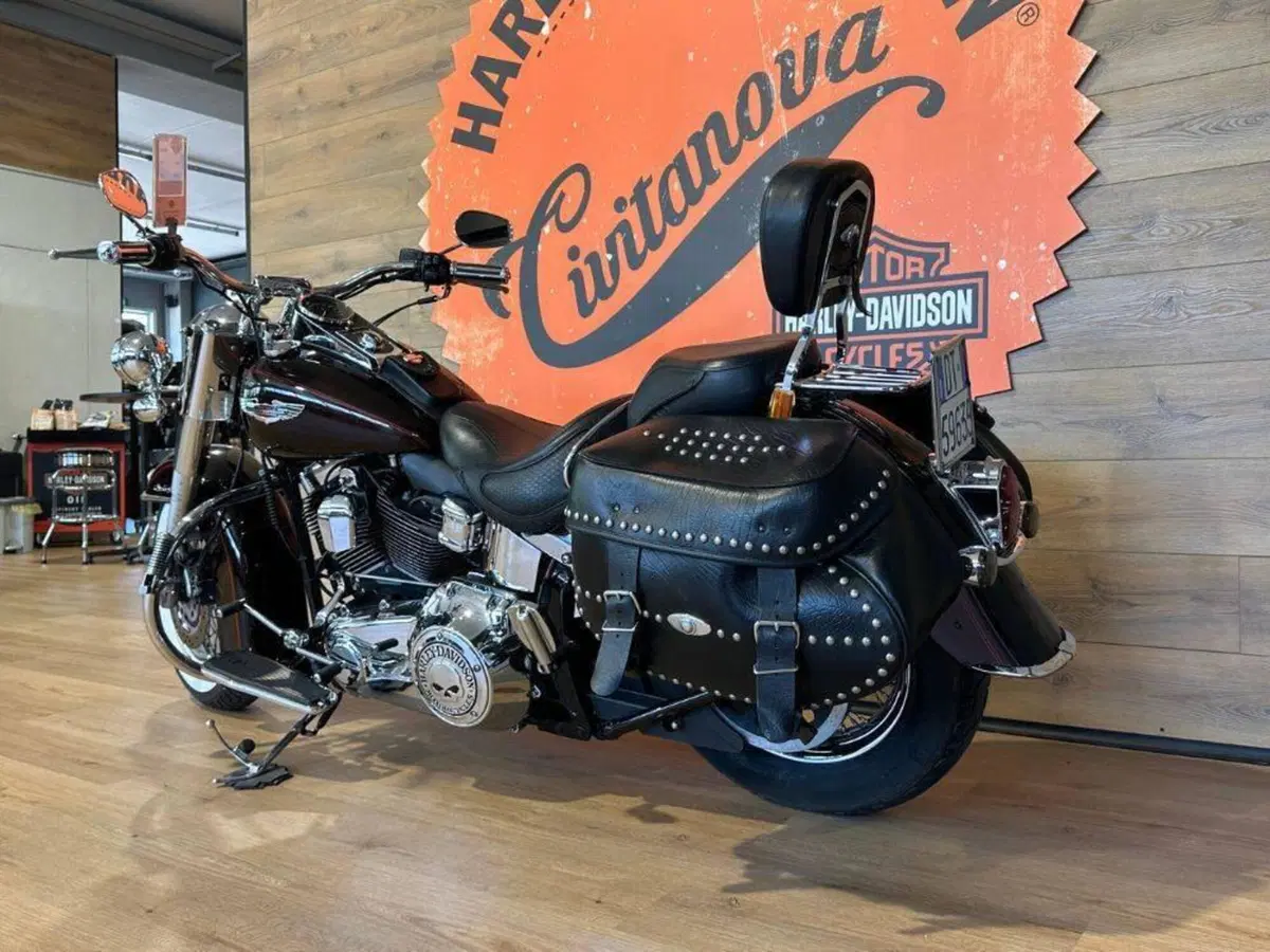Harley-Davidson 1585 Softail Deluxe (2011) - FLSTN (9)
