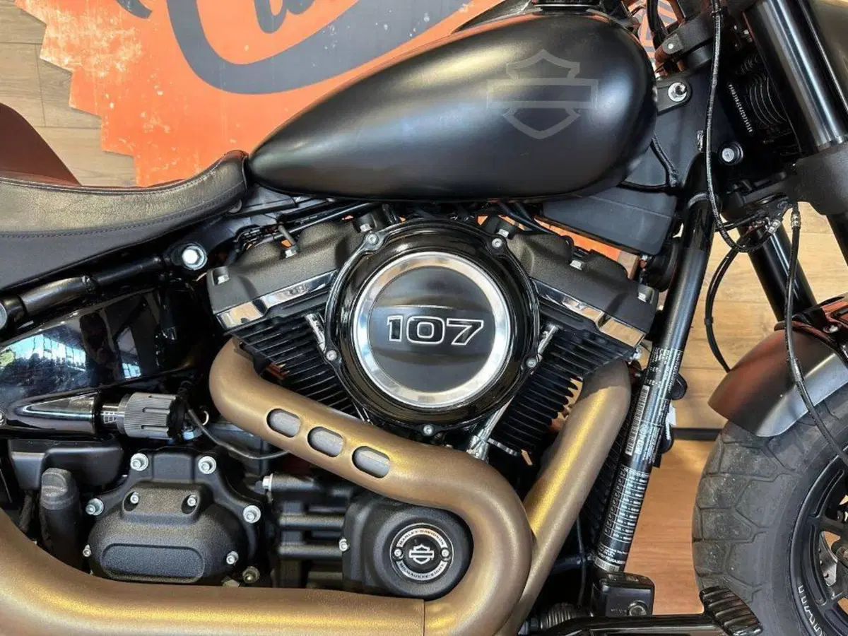 Harley-Davidson 114 Fat Bob (2018 - 20) - FXFBS (5)