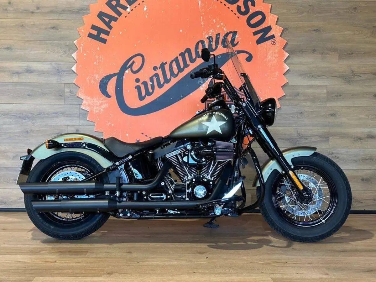 Harley-Davidson 1690 Slim (2011 - 16) - FLS (2)