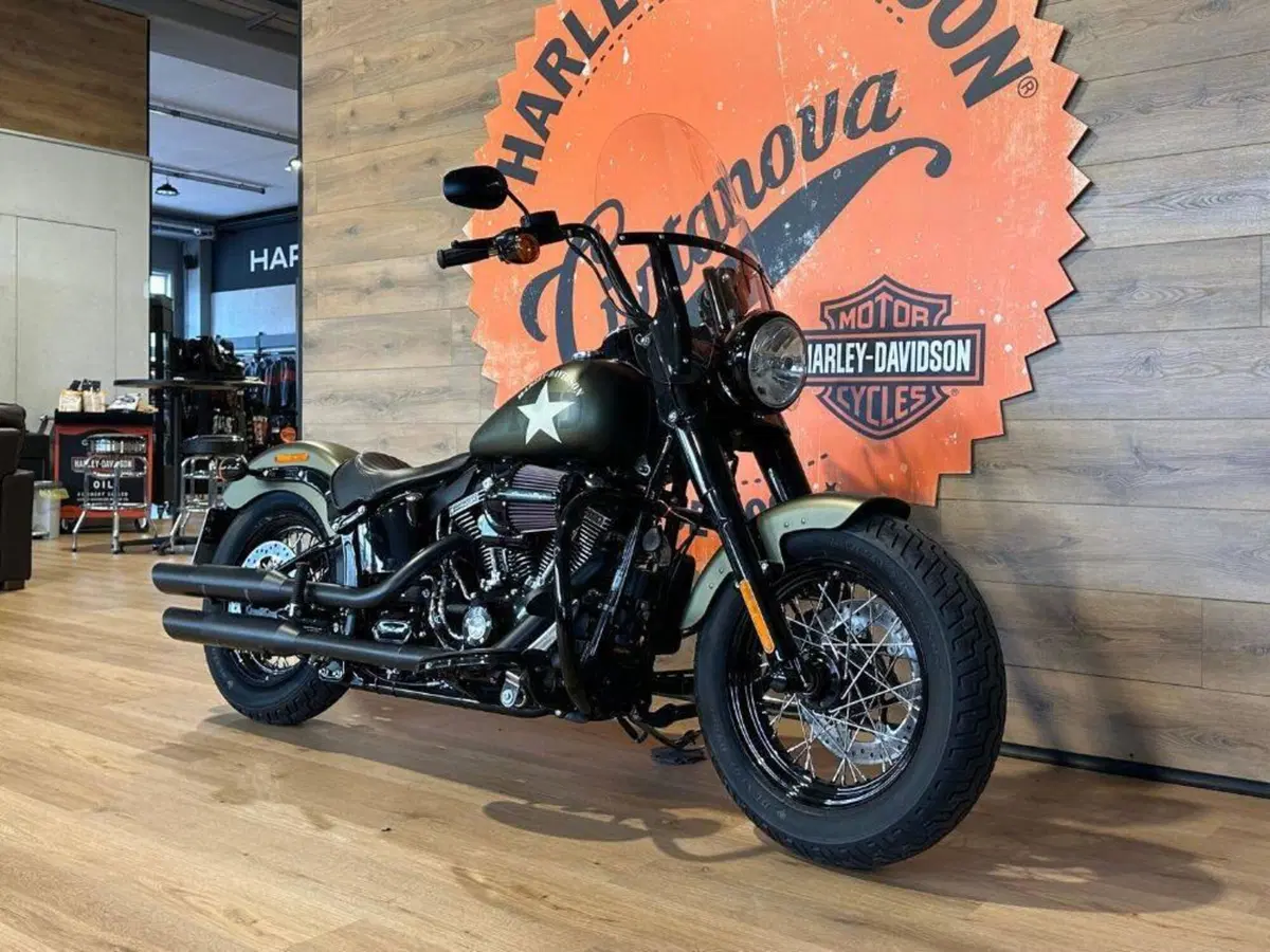 Harley-Davidson 1690 Slim (2011 - 16) - FLS (4)