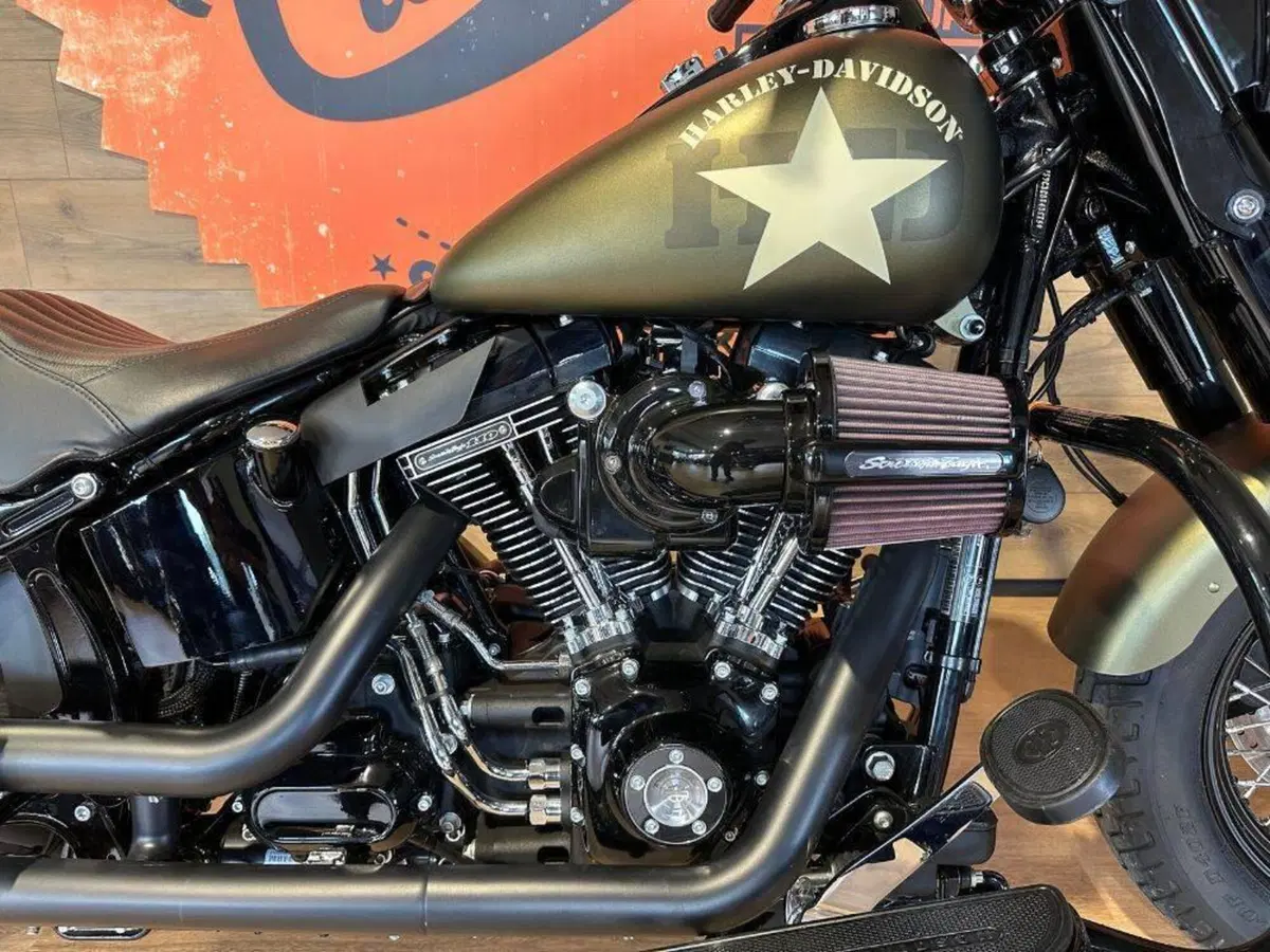 Harley-Davidson 1690 Slim (2011 - 16) - FLS (5)