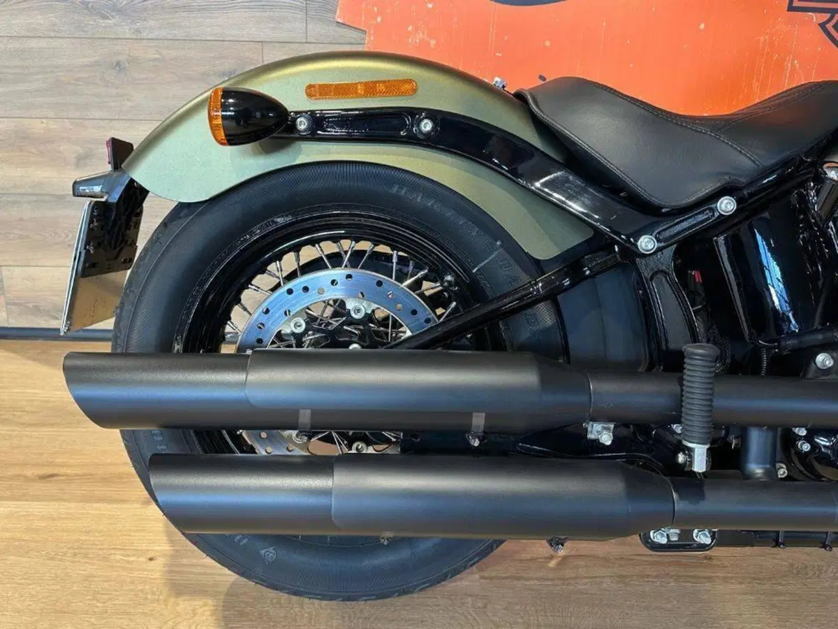 Harley-Davidson 1690 Slim (2011 - 16) - FLS (6)