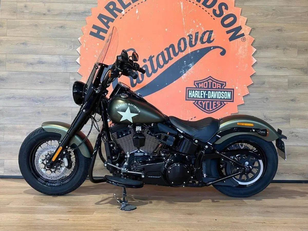 Harley-Davidson 1690 Slim (2011 - 16) - FLS (7)