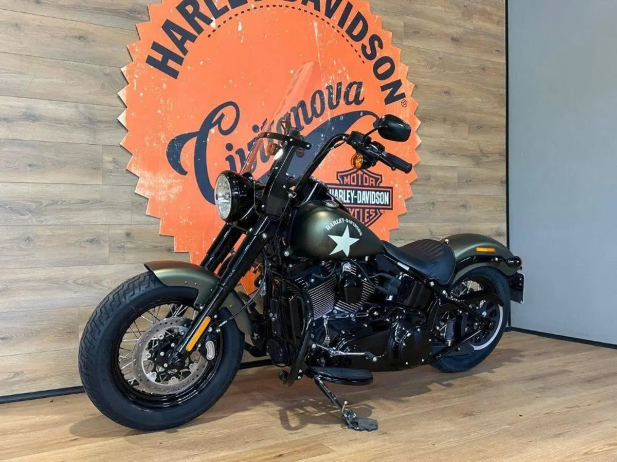 Harley-Davidson 1690 Slim (2011 - 16) - FLS (8)