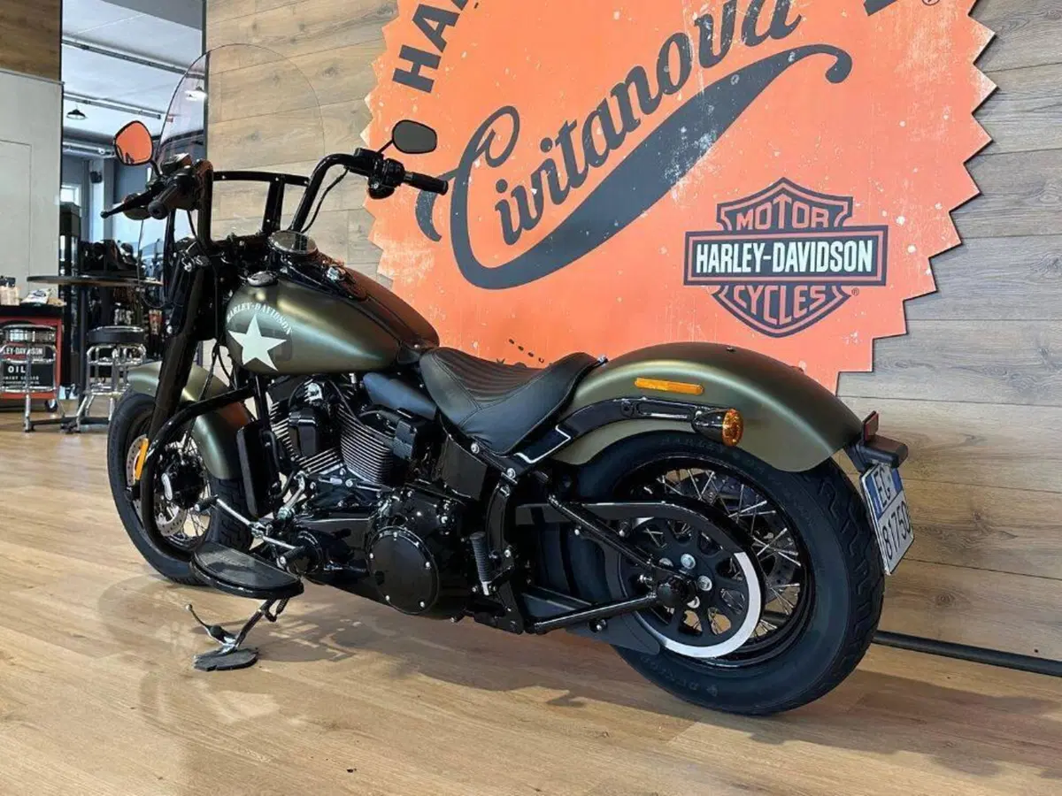Harley-Davidson 1690 Slim (2011 - 16) - FLS (9)