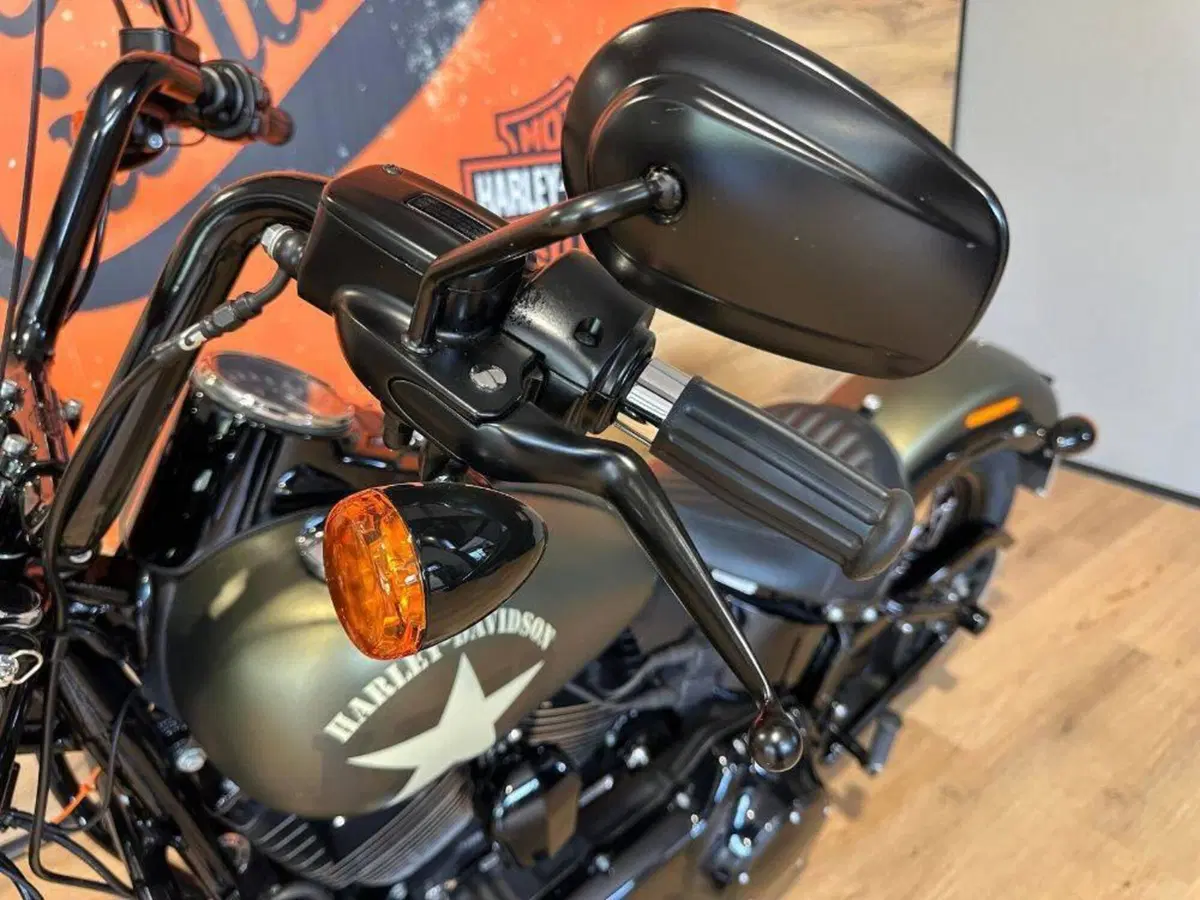 Harley-Davidson 1690 Slim (2011 - 16) - FLS (10)