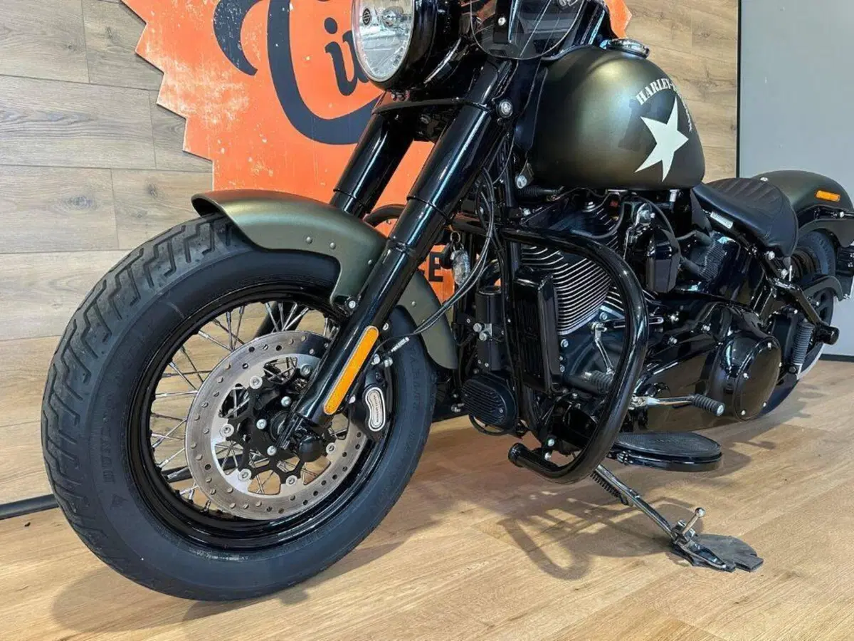 Harley-Davidson 1690 Slim (2011 - 16) - FLS (11)