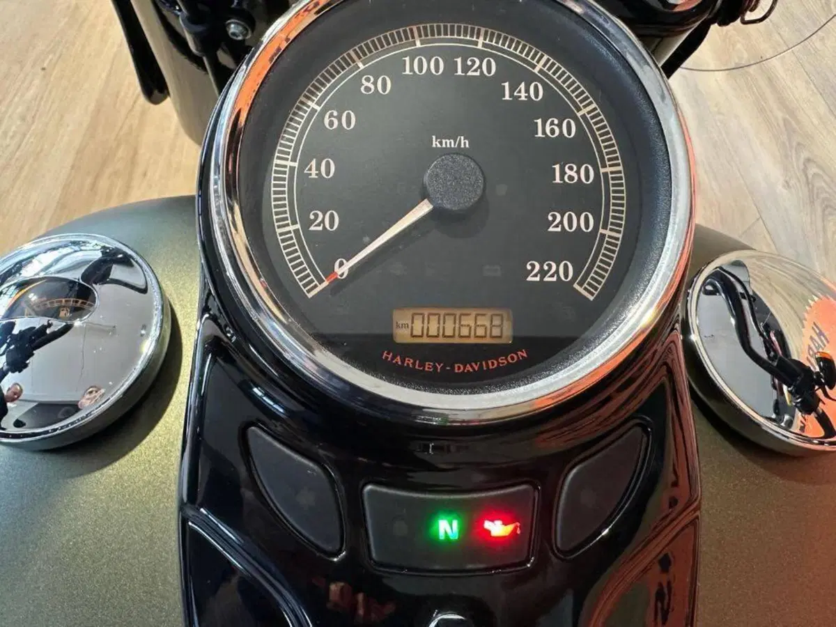 Harley-Davidson 1690 Slim (2011 - 16) - FLS (12)