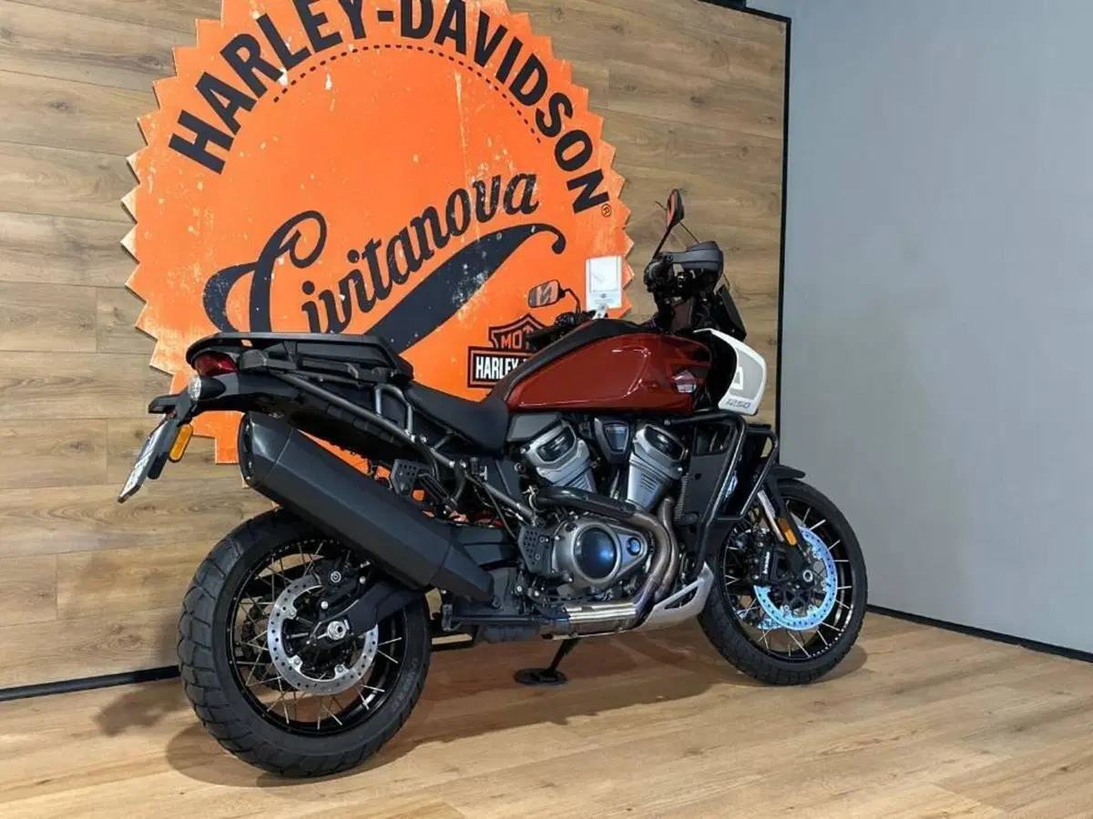 Harley-Davidson Pan America 1250 Special (2020 - 25) (3)