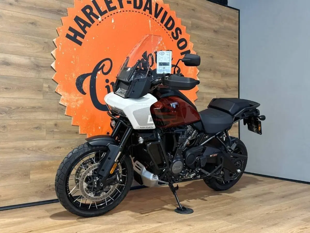 Harley-Davidson Pan America 1250 Special (2020 - 25) (7)