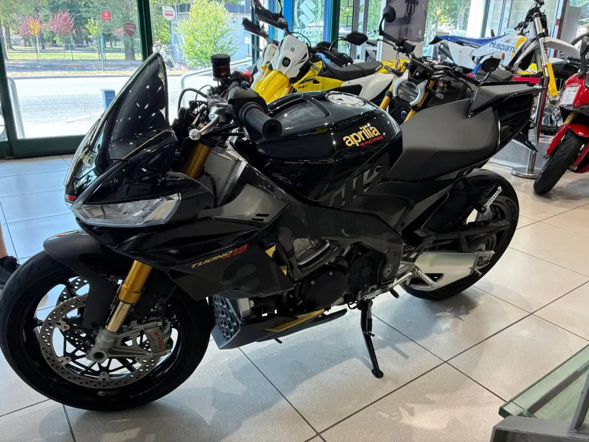 Aprilia Tuono V4 Factory (2021 - 24) (10)