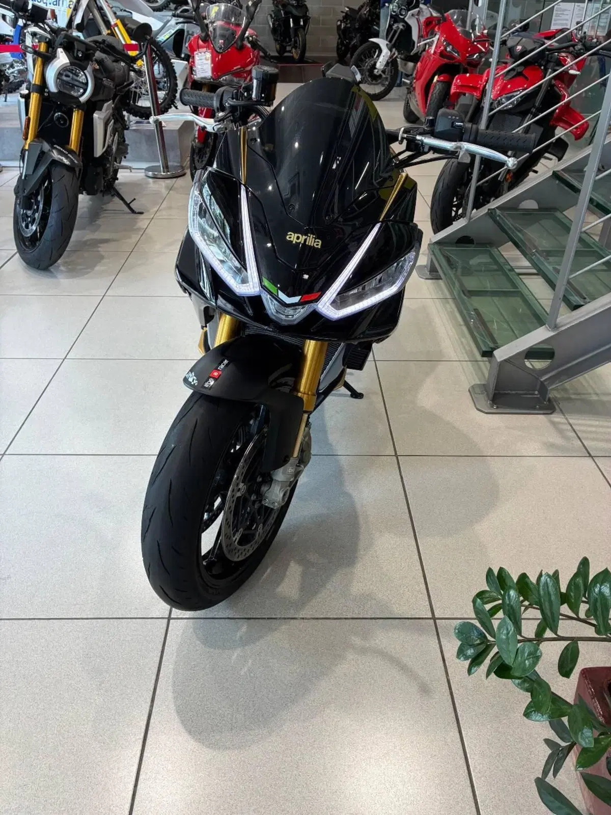 Aprilia Tuono V4 Factory (2021 - 24) (11)