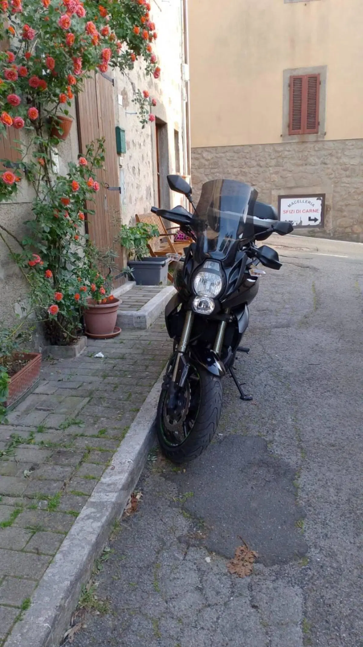 Kawasaki Versys 650 ABS (2010 - 14) (3)