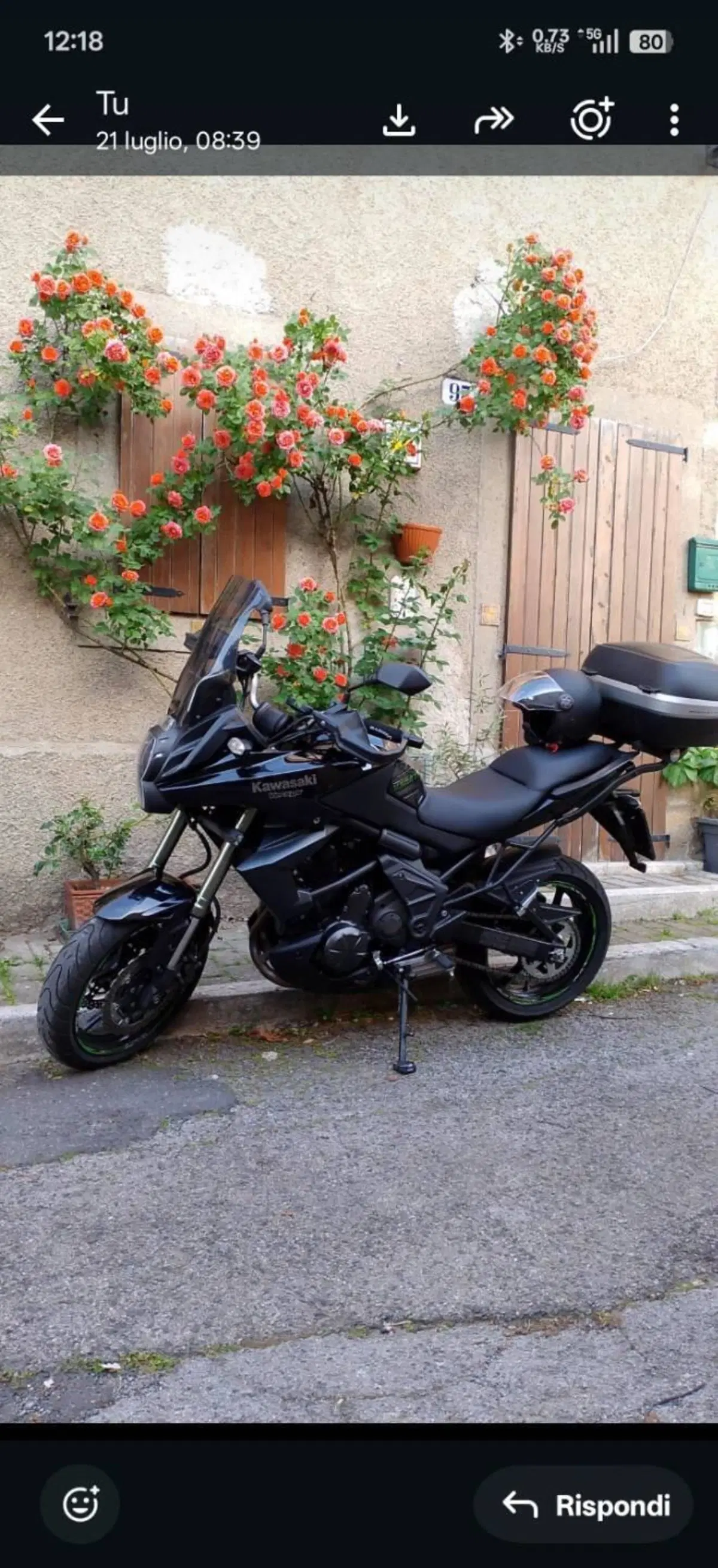 Kawasaki Versys 650 ABS (2010 - 14) (2)