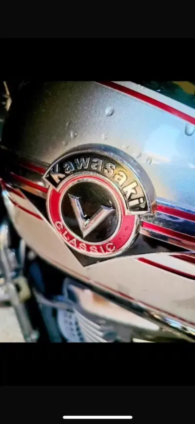 Kawasaki VN 800 Classic (2001 - 06) usata