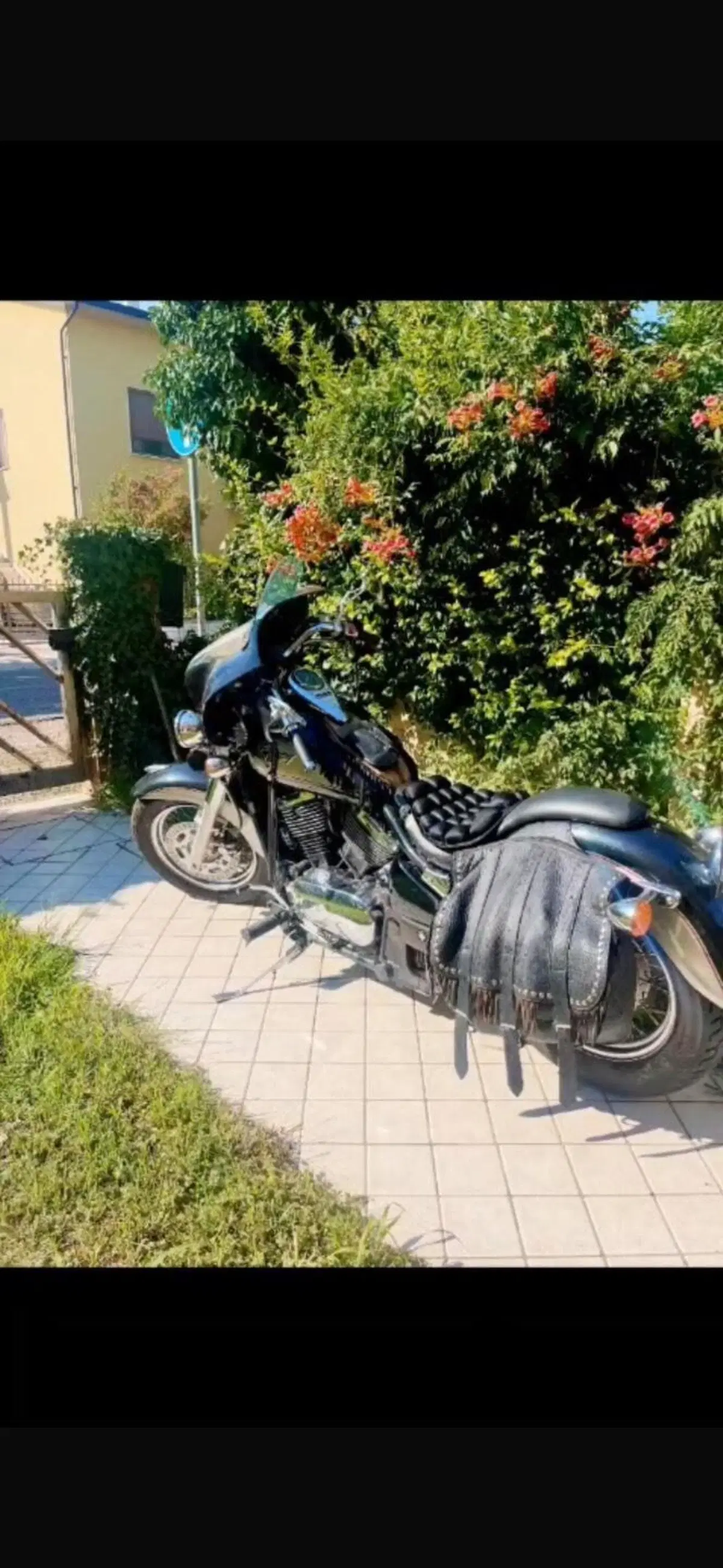 Kawasaki VN 800 Classic (2001 - 06) (2)
