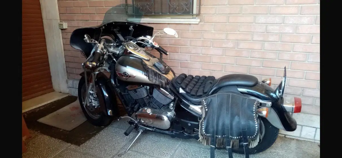 Kawasaki VN 800 Classic (2001 - 06) (4)