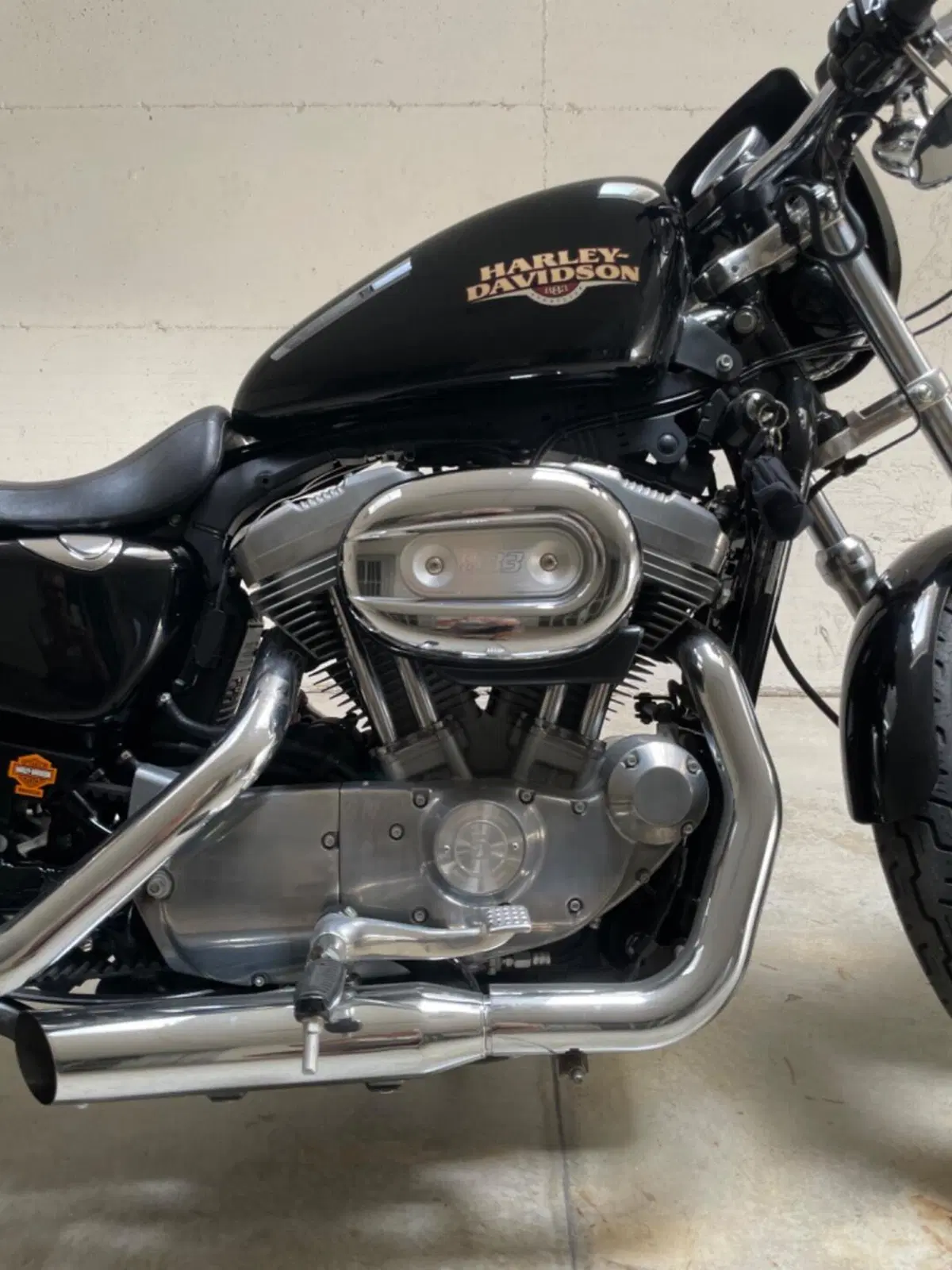 Harley-Davidson 883 Low (2008 - 12) - XL 883L (4)