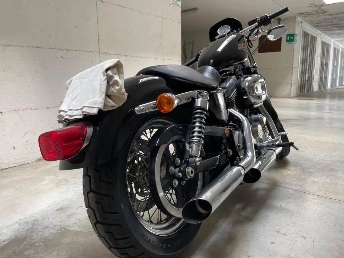Harley-Davidson 883 Low (2008 - 12) - XL 883L (5)