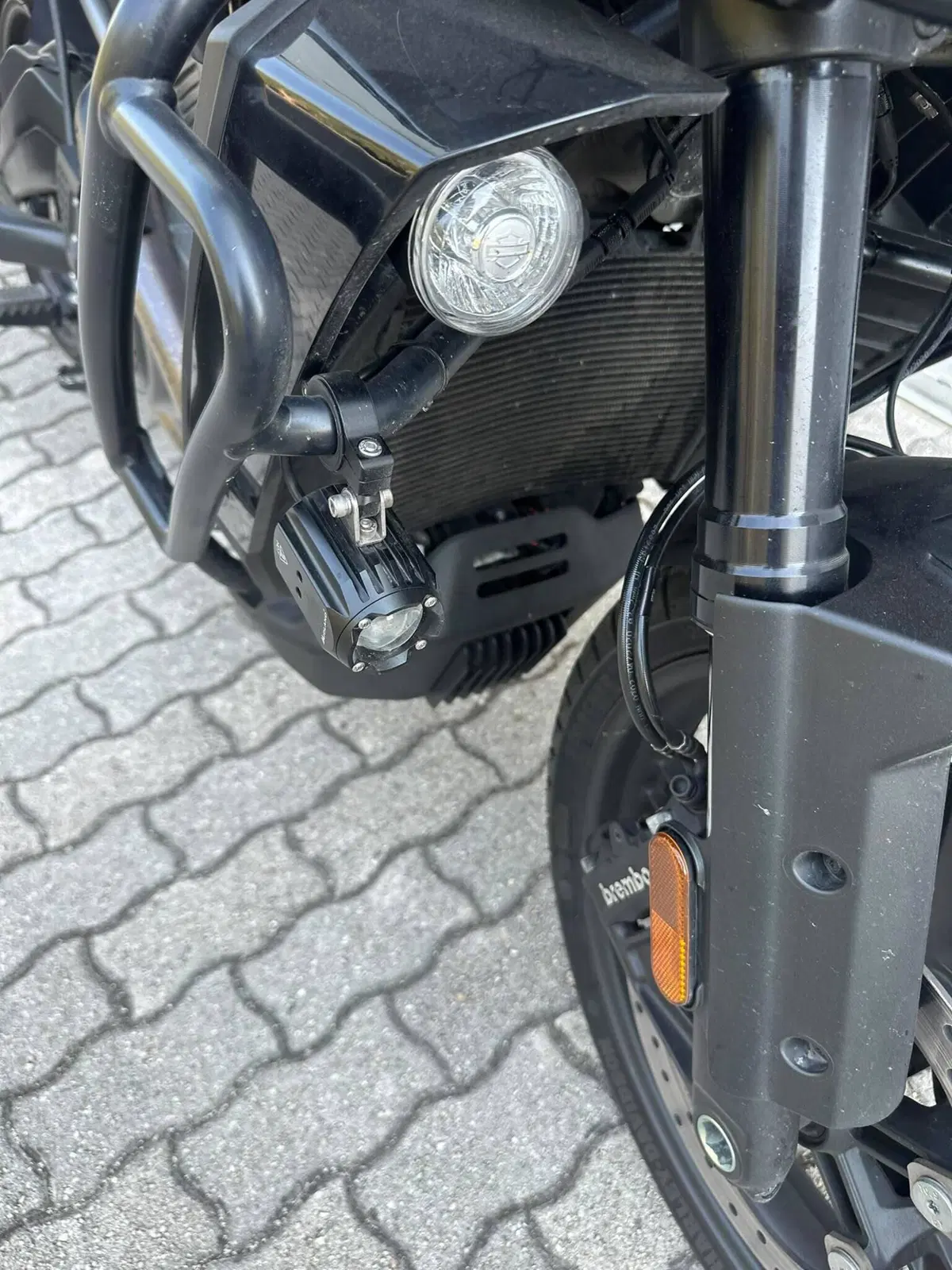 Harley-Davidson Pan America 1250 (2020 - 25) (4)