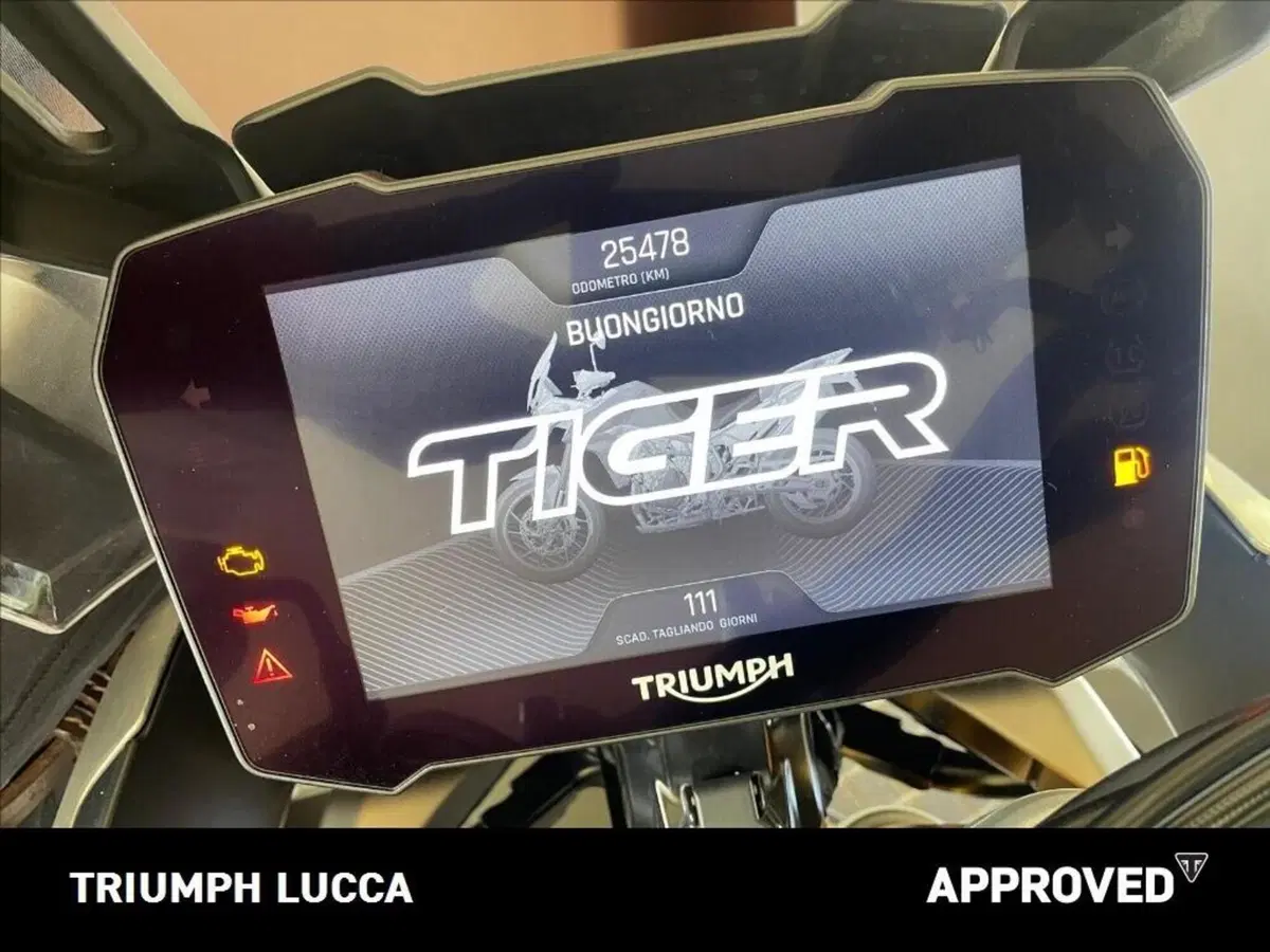 Triumph Tiger 900 Rally Pro (2020 - 23) (3)