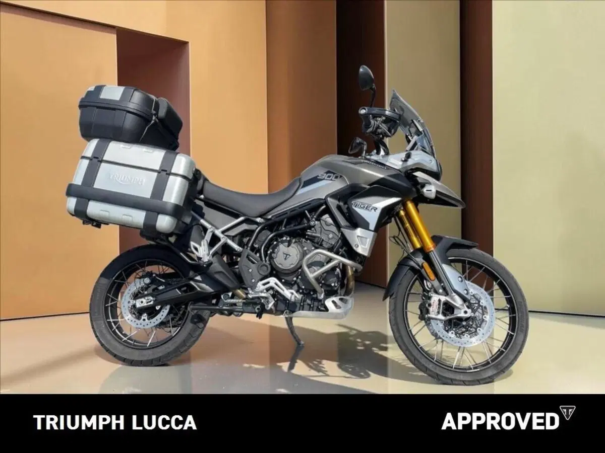 Triumph Tiger 900 Rally Pro (2020 - 23) (8)