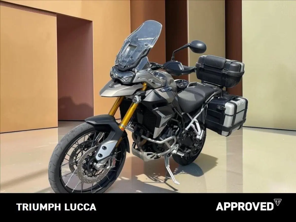 Triumph Tiger 900 Rally Pro (2020 - 23) (7)
