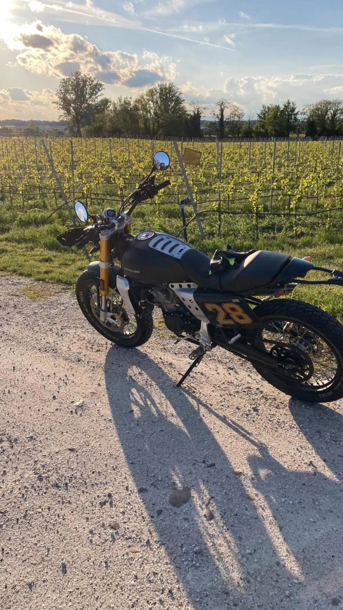 Fantic Motor Caballero 125 Flat Track 4t (2018 - 20) (3)