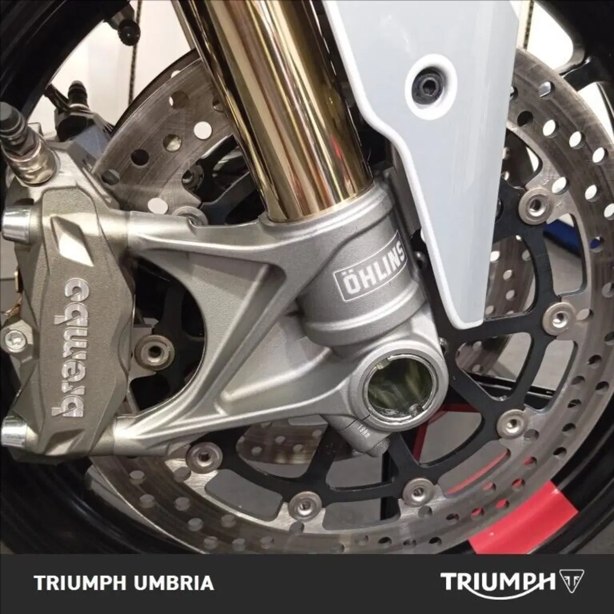 Ducati SuperSport 950 S (2021 - 24) (5)