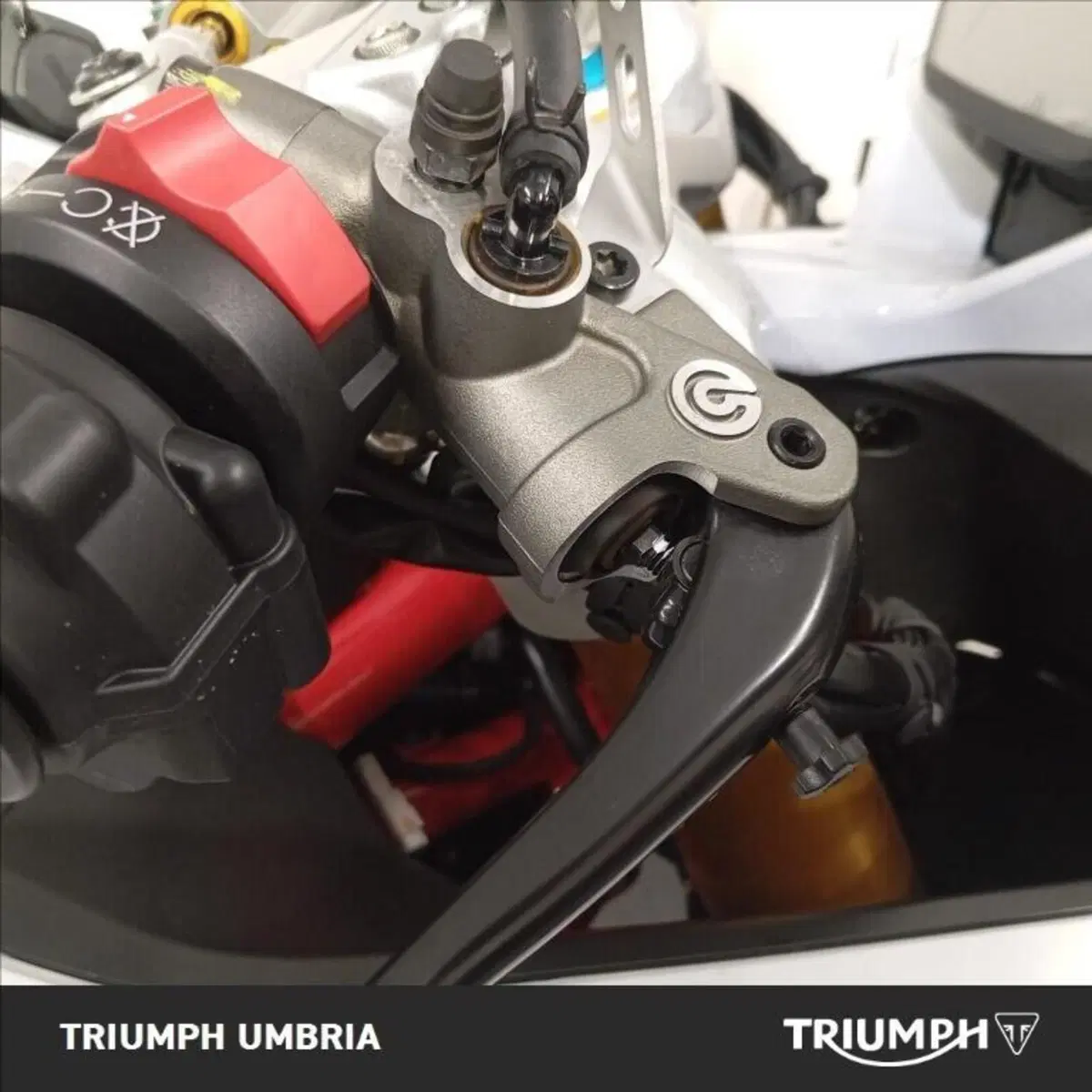 Ducati SuperSport 950 S (2021 - 24) (4)