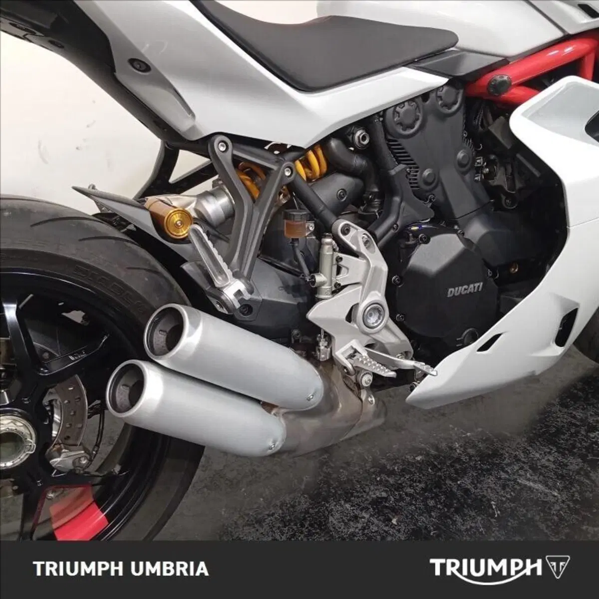 Ducati SuperSport 950 S (2021 - 24) (11)