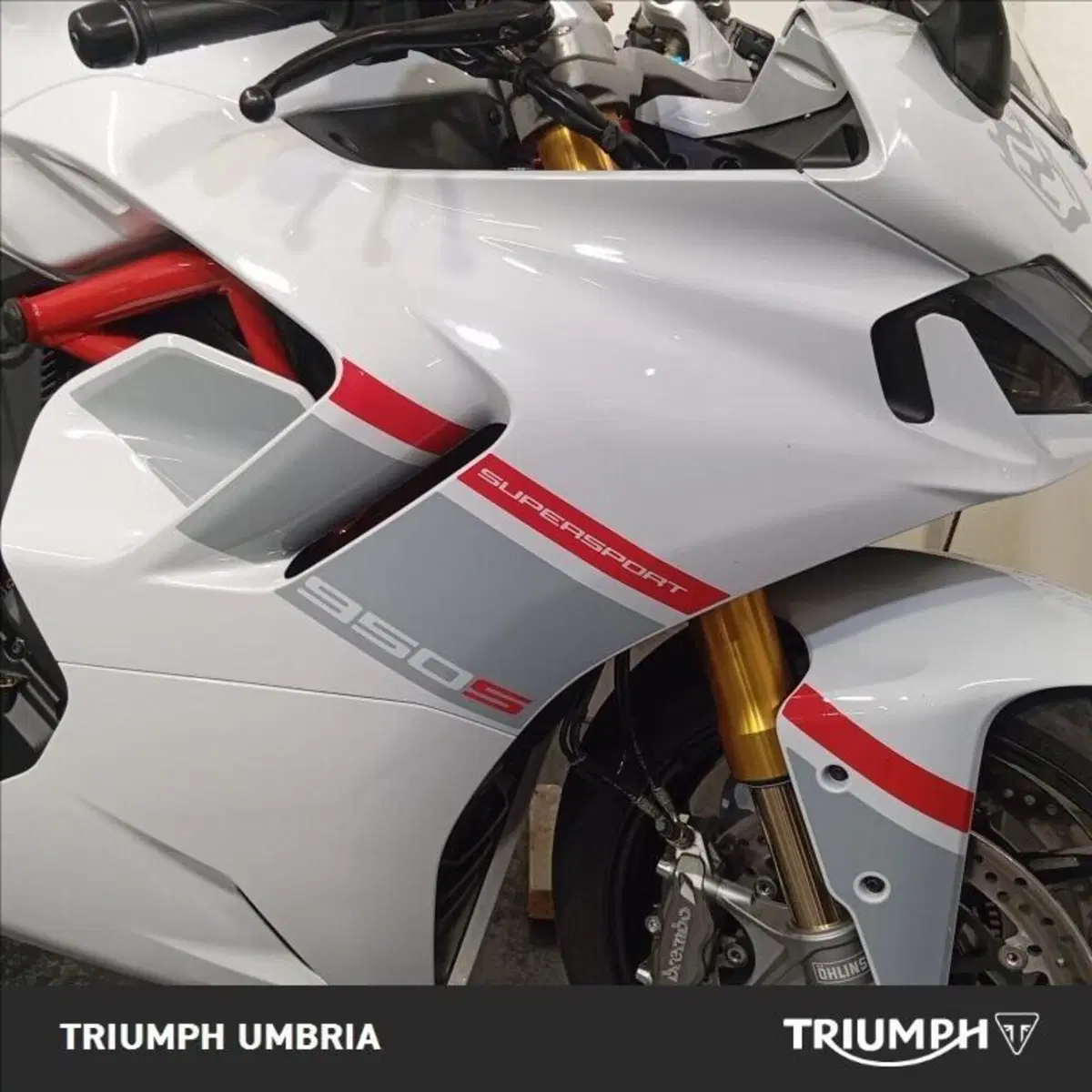 Ducati SuperSport 950 S (2021 - 24) (13)