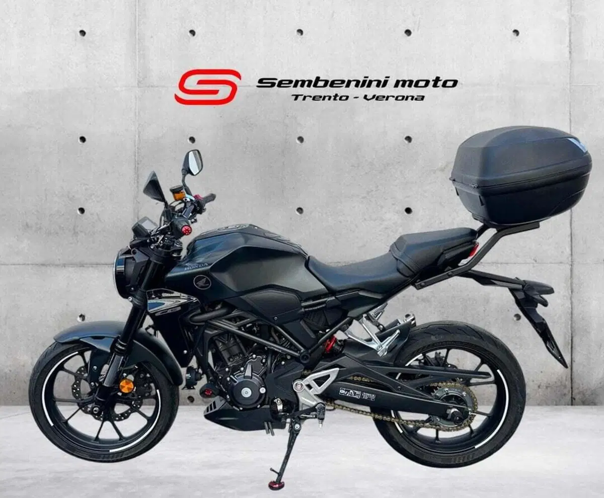 Honda CB 300 R (2022 - 26) (2)