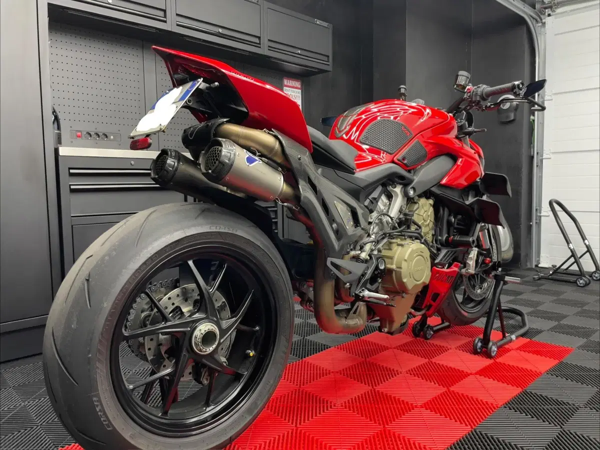 Ducati Streetfighter V4 (2023 - 24) (5)