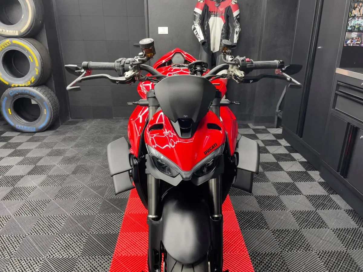 Ducati Streetfighter V4 (2023 - 24) (7)